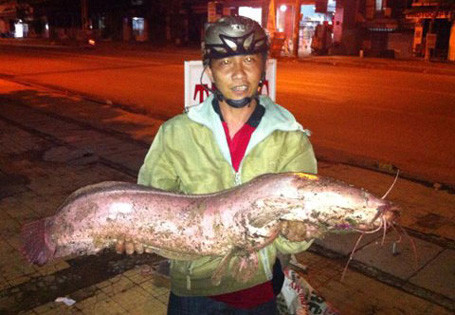 Ngư dân Việt và những chiến tích săn 'thủy quái' để đời ảnh 14