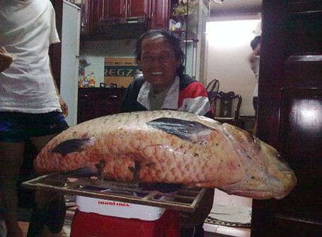 Ngư dân Việt và những chiến tích săn 'thủy quái' để đời ảnh 10