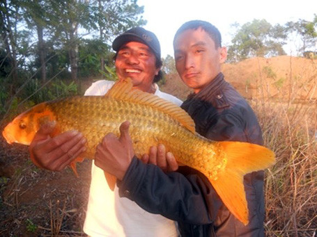 Ngư dân Việt và những chiến tích săn 'thủy quái' để đời ảnh 11