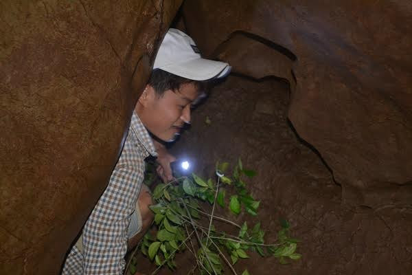 Co ro đắp chăn giữa chảo lửa miền Trung ảnh 4