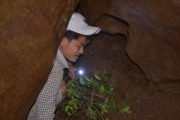 Co ro đắp chăn giữa chảo lửa miền Trung ảnh 4