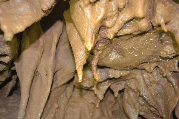 Co ro đắp chăn giữa chảo lửa miền Trung ảnh 7