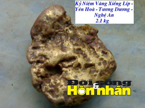 Cục vàng 2,1kg do anh Ối và những người anh em nhặt được. 