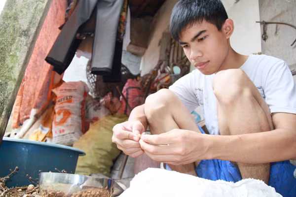 Phạm Văn Đích bóc long nhãn giúp mẹ. Hàng ngày, cậu đi xoáy nhãn thuê, mỗi ngày kiếm được khoảng 100 nghìn. Số tiền này, Đích tích trữ đề phòng mẹ đau yếu khi cậu nhập học. Ảnh: Trường Phong