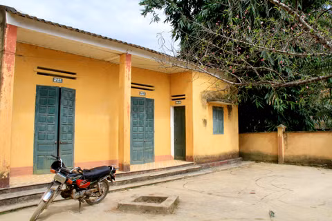 Cây đào nằm ở sân trung tâm y tế xã La Pán Tẩn (Mù Cang Chải, Yên Bái)