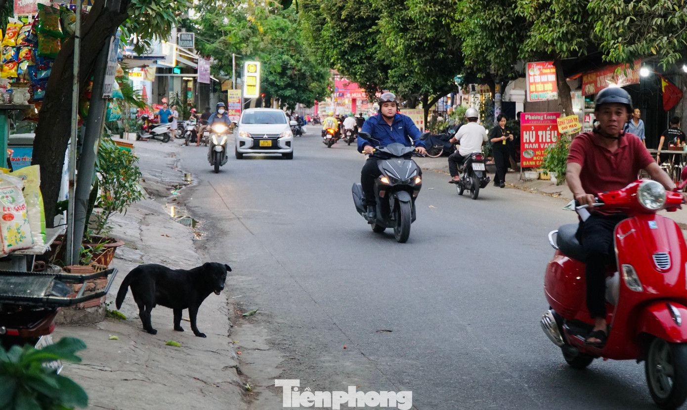 Trên đường Thân Văn Nhiếp (phường An Phú, TP Thủ Đức).