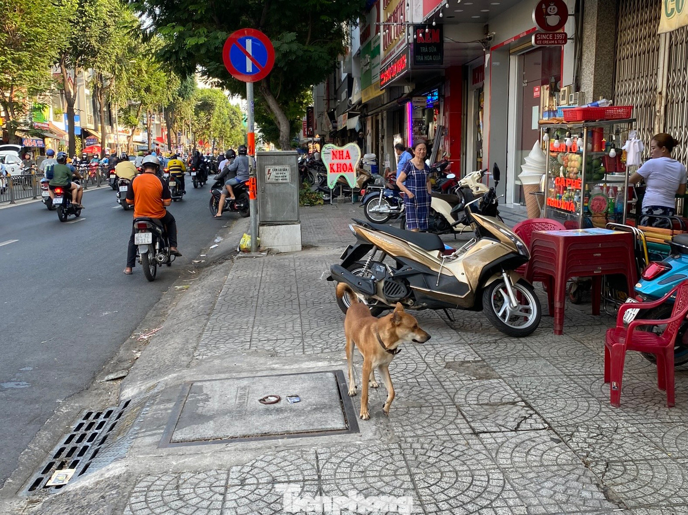 &quot;Có lần tôi đang đi trên đường thì có điện thoại, tôi dừng xe tấp vào lề đường để nghe máy thì bỗng dưng có một con chó không đeo vòng cổ, không dây xích cũng không được rọ mõm chạy sát lại sủa rất hung hăng. Tôi phải điều khiển xe đi khỏi khu vực đó vì sợ bị chó tấn công&quot;- chị Nguyễn Khánh Phương (ngụ quận 8, TPHCM) chia sẻ. Hình ảnh chó thả rông, không được rọ mõm tại vỉa hè đường Nguyễn Văn Luông (phường 12, quận 6).
