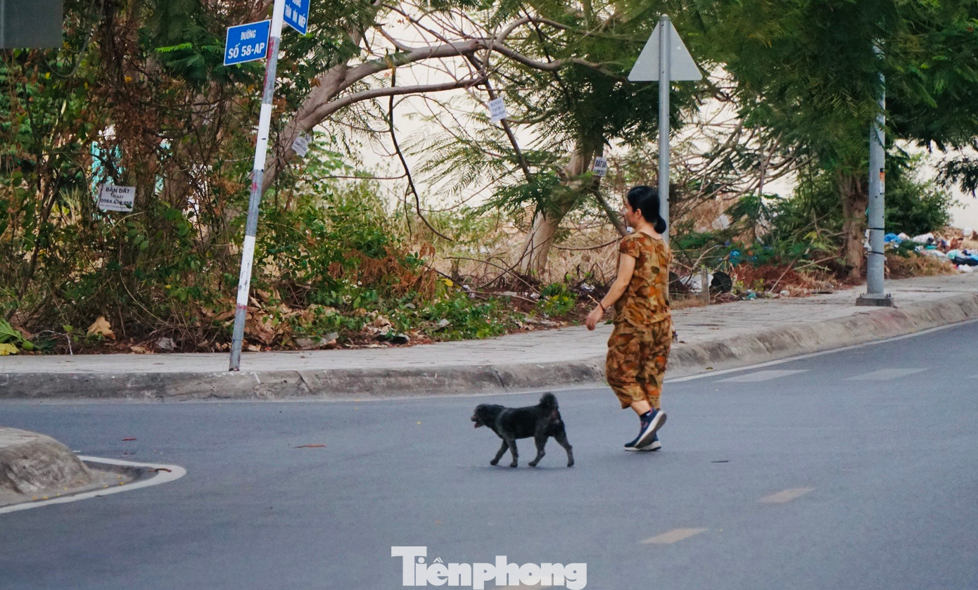 Chia sẻ với PV, nhiều người dân bày tỏ sự đồng tình khi cơ quan chức năng tăng cường việc xử phạt các trường hợp chủ nuôi thả rông chó và không đeo rọ mõm cho vật nuôi khi đến nơi công cộng. Trong ảnh: Chó thả rông, không được rọ mõm xuất hiện nhan nhản ở khu vực công viên bờ kênh Giồng Ông Tố (phường An Phú, TP Thủ Đức).