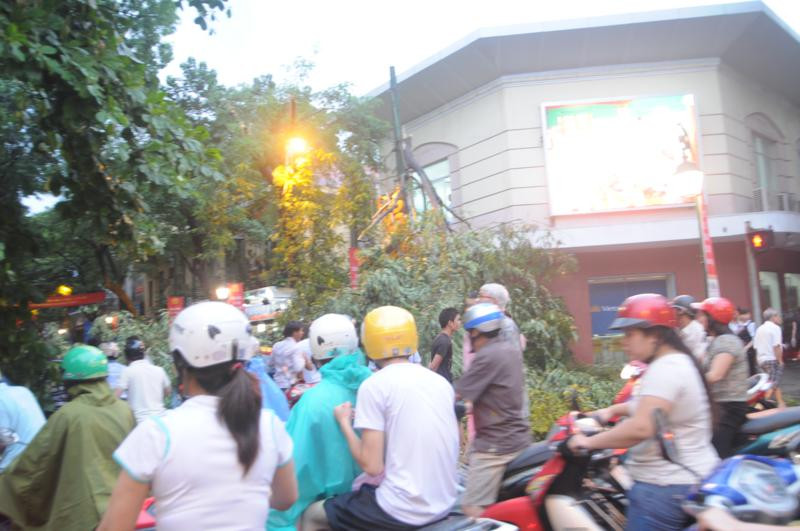 Tại ngã tư Tràng Thi - Quang Trung, một cây xanh gãy cành, kéo theo cột đèn cao áp đổ xuống ngay đè ngay chiếc ô tô bốn chỗ đang chạy