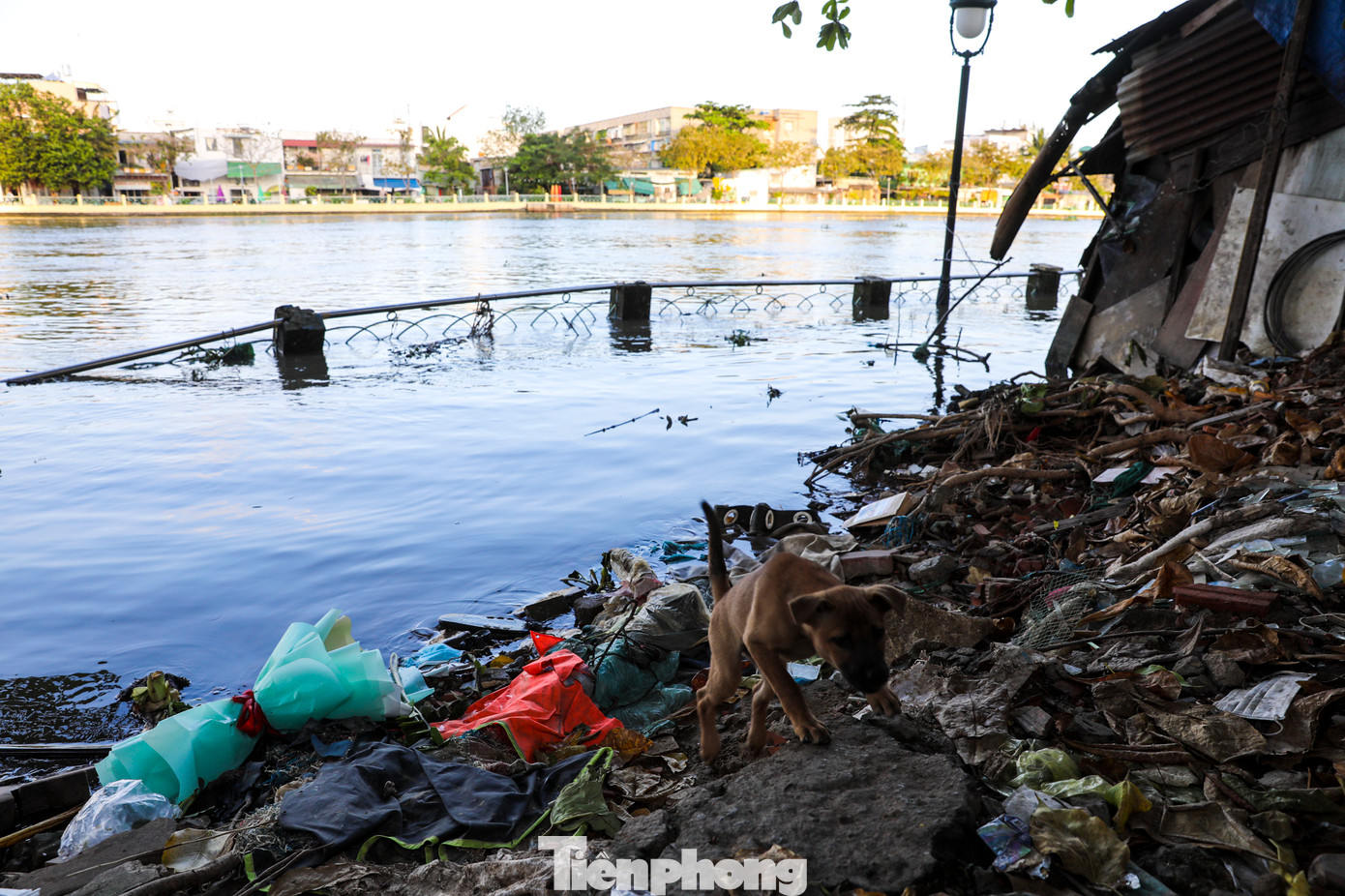 Đơn vị khảo sát cho biết, khu vực này đang có hiện tượng chuyển vị theo phương đứng (lún sụt) bình quân khoảng 1,78 cm/ngày, theo phương ngang (chuyển vị ra phía lòng kênh) bình quân khoảng 2 cm/ngày. Mức sụt lún này là rất nguy hiểm. Đơn vị khảo sát cho biết, khu vực này đang có hiện tượng chuyển vị theo phương đứng (lún sụt) bình quân khoảng 1,78 cm/ngày, theo phương ngang (chuyển vị ra phía lòng kênh) bình quân khoảng 2 cm/ngày. Mức sụt lún này là rất nguy hiểm.