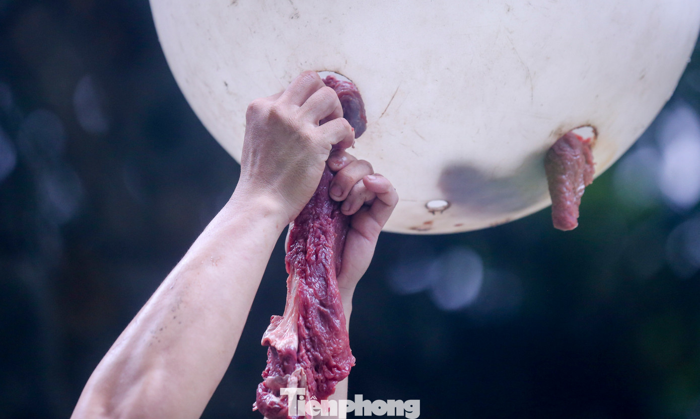 Ngoài ra, Thảo Cầm Viên cũng áp dụng mô hình "Làm giàu chuồng trại" với các hình thức kích thích động vật ăn uống. Tại chuồng báo hoa mai, nhân viên sẽ treo thịt sống lên trên cao đồng thời xát thêm nước cam với bã cà phê để dậy mùi cho thú trong lúc ăn.