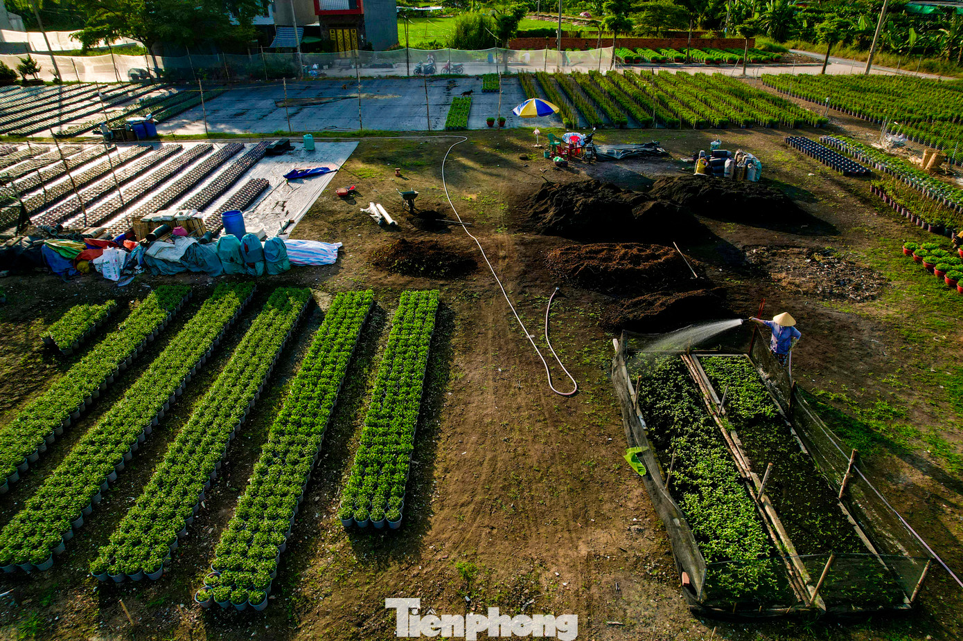 Trong khung cảnh miệt vườn, du khách đến đây cũng có thể chụp những bộ ảnh đậm chất đồng quê với áo dài hoặc trang phục tươi tắn.