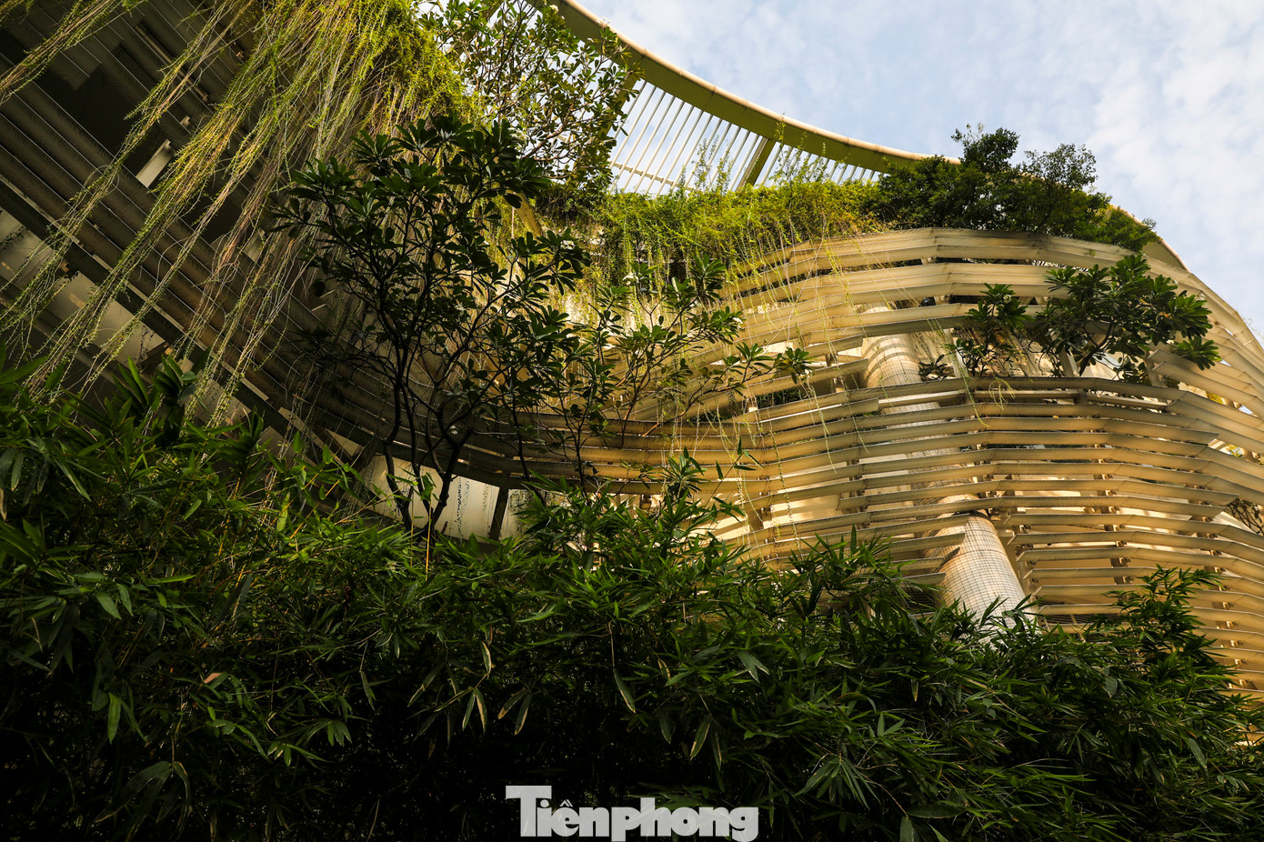 Công trình được trồng nhiều cây xanh khắp mọi nơi, trên các tầng tạo nên điểm nổi bật trên nền trắng chủ đạo của toà nhà.