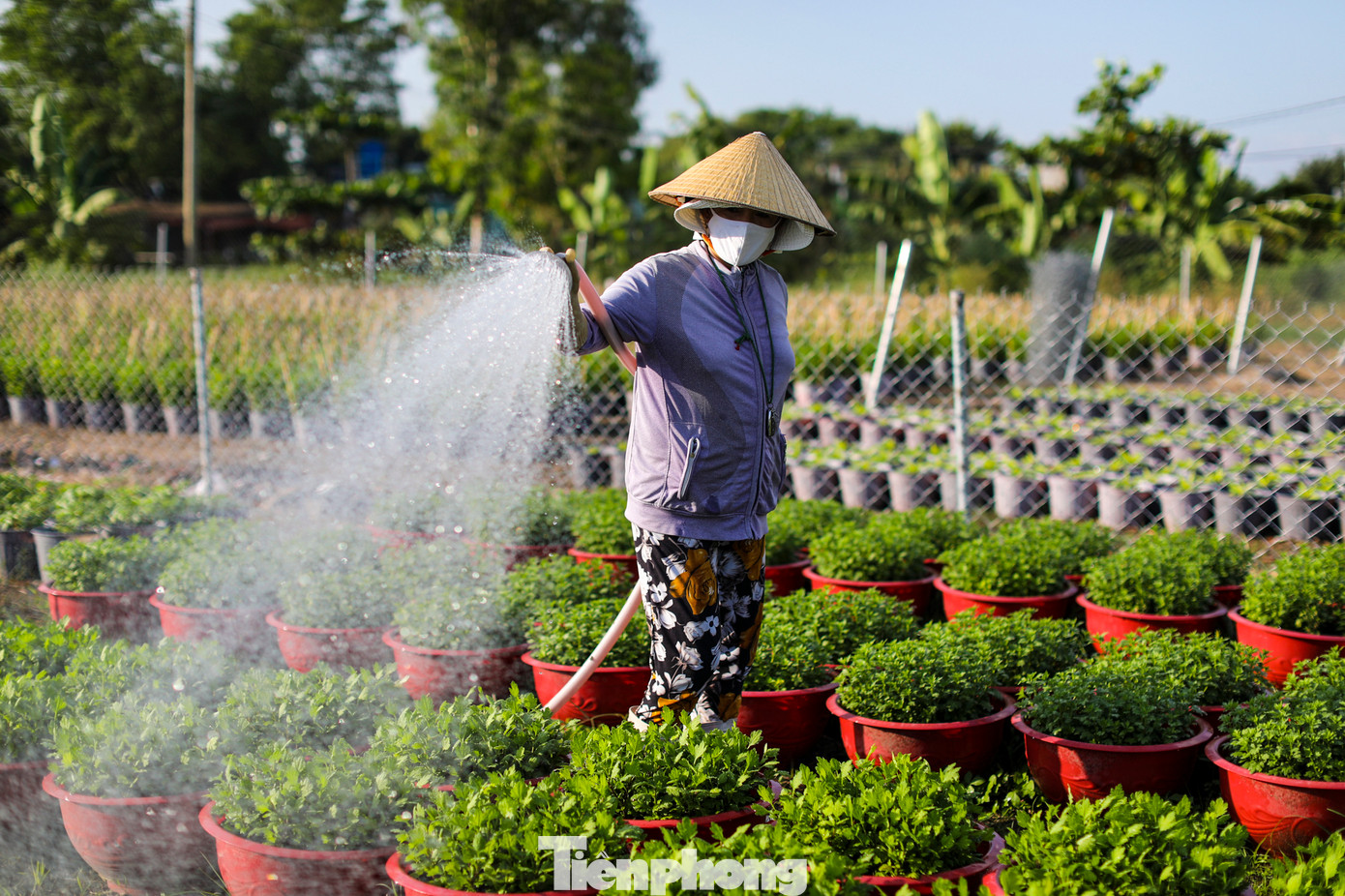 Không khí lao động rất khẩn trương, các công nhân có mặt từ sáng sớm và làm việc đến chiều tối.