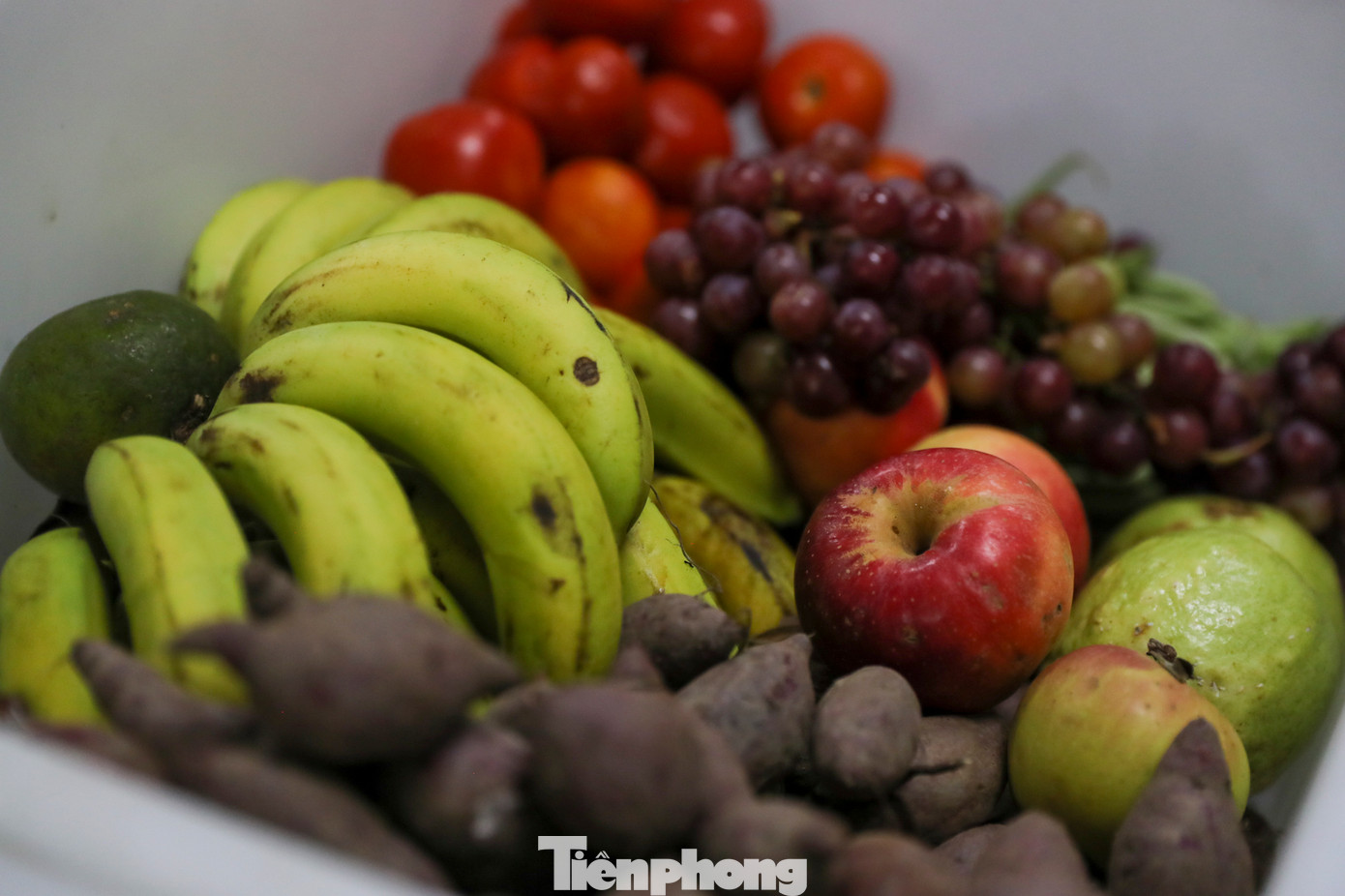 Các khẩu phần ăn được phân chia theo từng khay và được ghi tên từng khu. Sau khi được bàn giao, nhân viên phụ trách tại các chuồng có nhiệm vụ phân bổ và cho thú ăn đúng theo giờ quy định nhằm đảm bảo sức khoẻ cũng như duy trì các tập tính sinh hoạt của chúng tại Thảo Cầm Viên.