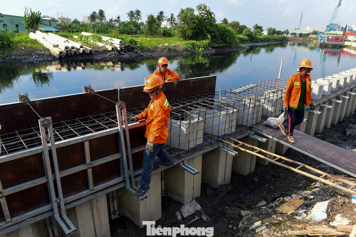 Sau khi đóng cọc bằng máy, công nhân tiến hành căn chỉnh, cố định cọc, làm vách để đổ bê tông gia cố bờ kè cho chắc chắn.