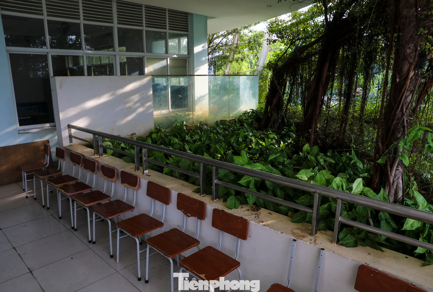 Yếu tố nhiệt đới rất được chú trọng trong thiết kế kiến trúc. Các không gian đều thoáng và sáng tự nhiên.