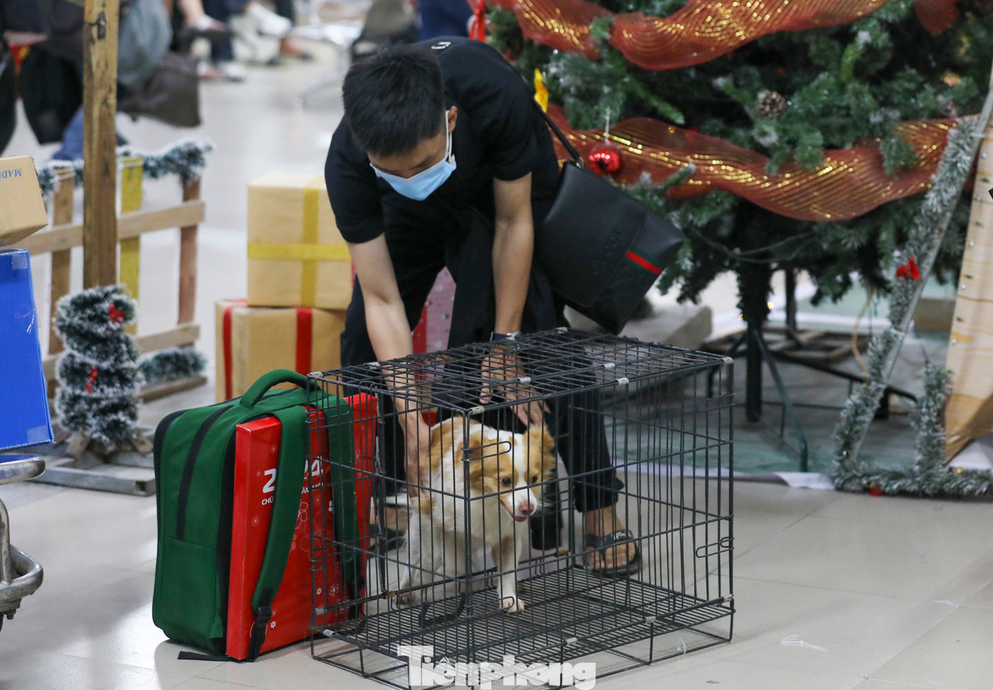 Một hành khách còn mang theo thú cưng khi về quê nghỉ lễ.