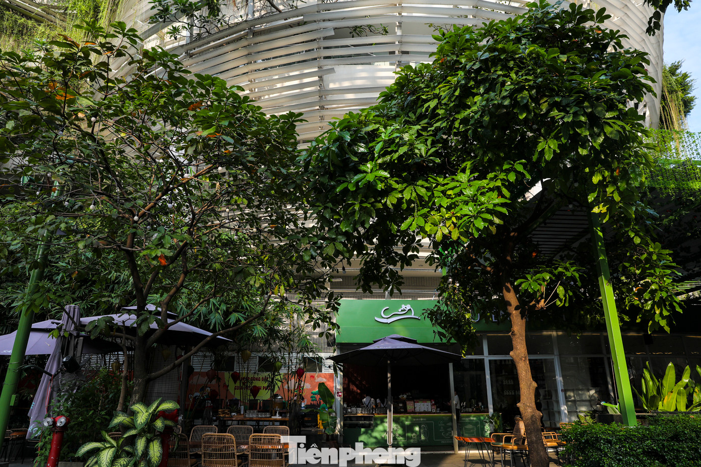 Tầng trệt có quán cà phê, hội trường đa năng, sảnh hoạt động cho ngày mưa, không gian chờ cho phụ huynh.