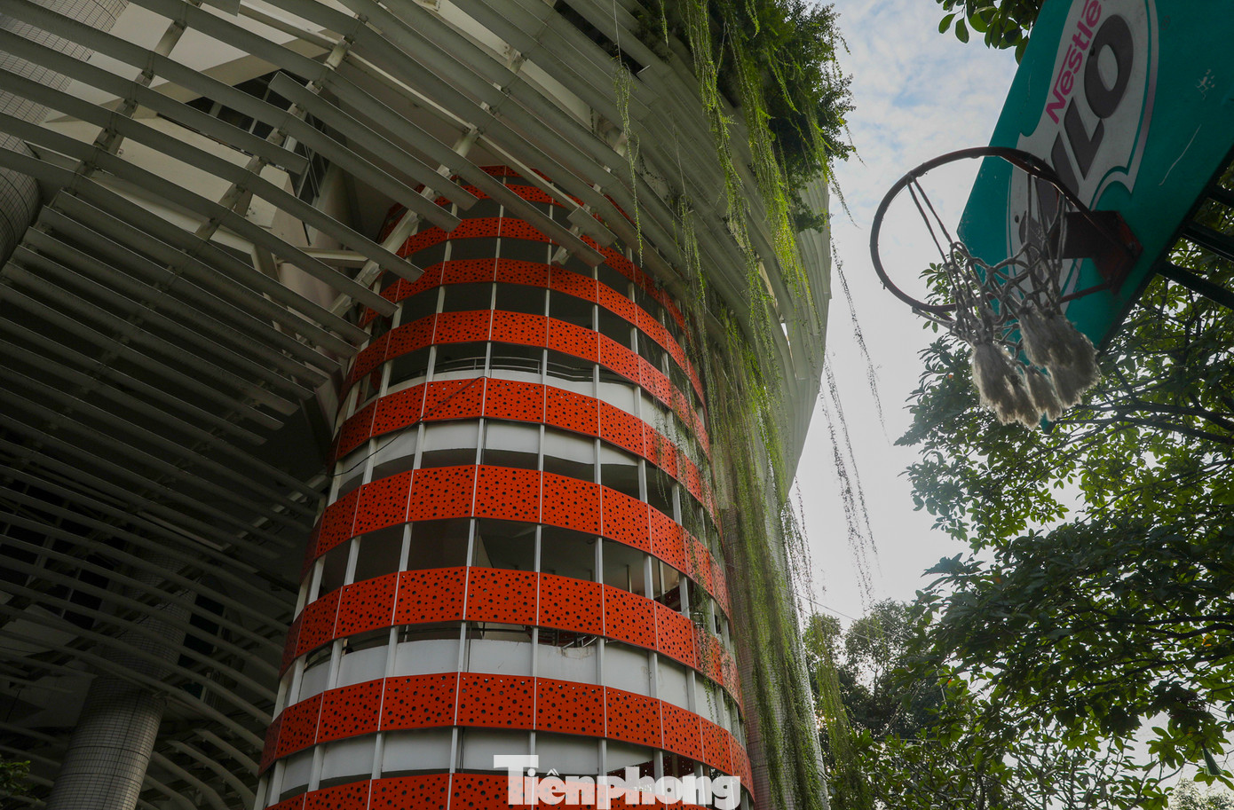 Từ dàn cây to được trồng ở khu vực bên ngoài, cho đến những loại dây leo thả rũ xuống ở khu vực cầu thang và cả những chậu cây nhỏ được đặt khắp từ trong ra ngoài, tất cả đều tạo nên một không khí dễ chịu, thoải mái cho không gian ở đây.