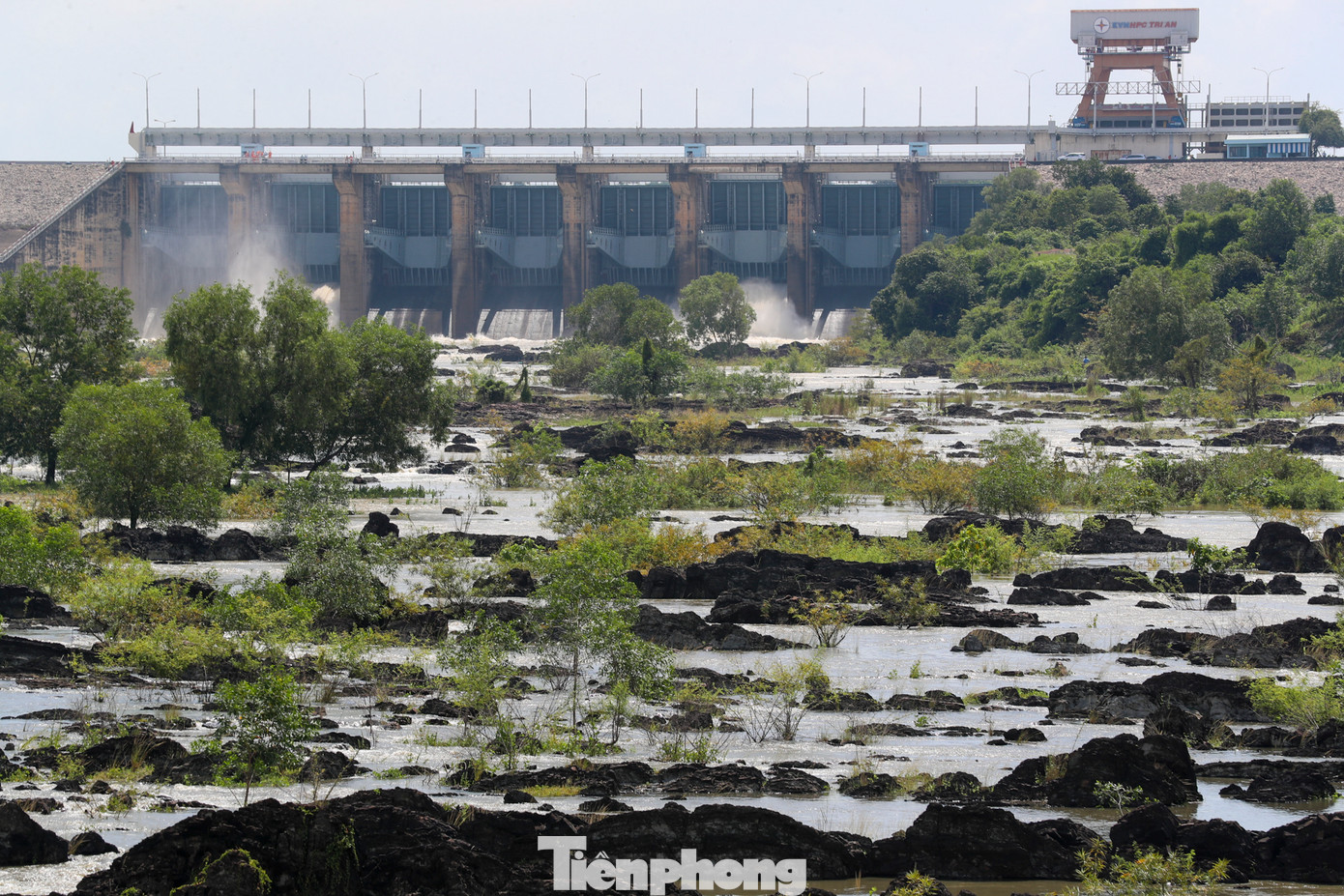 Ông Võ Tấn Nhẫn, Giám đốc nhà máy thủy điện Trị An cho biết: Năm nay mưa nhiều, lượng nước từ đầu nguồn đổ về hồ Trị An nhiều và nhanh hơn mọi năm. Tháng 5 vừa qua, mực nước hồ đã tiệm cận mực nước chết (50m). Hiện nay, lưu lượng nước từ đầu nguồn về hồ đạt mức 2.000m3/s. Nếu mực nước hồ Trị An đạt đến mức 60,8m, nhà máy sẽ điều tiết xả lũ về hạ lưu.