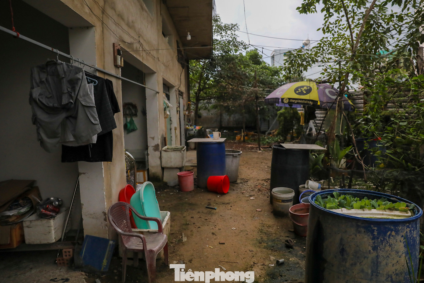 Căn hộ diện tích 24 m2 gồm một phòng ngủ, nhà vệ sinh khép kín đều chưa hoàn thiện bên trong, không gian tối tăm, ẩm thấp. Hiện tại có một số người chiếm dụng làm nơi sinh hoạt hàng ngày.