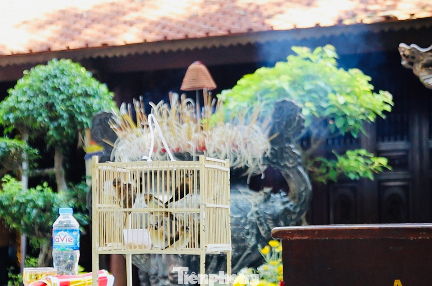 Tại chùa Trấn Quốc, nhiều người dân lựa chọn phóng sinh mong cầu ân đức hiếu tử, đức từ bi theo tôn chỉ nhà Phật. Theo quan niệm dân gian, phóng sinh chính là làm việc thiện và người phóng sinh sẽ được tích đức, nhận lại nhiều may mắn.