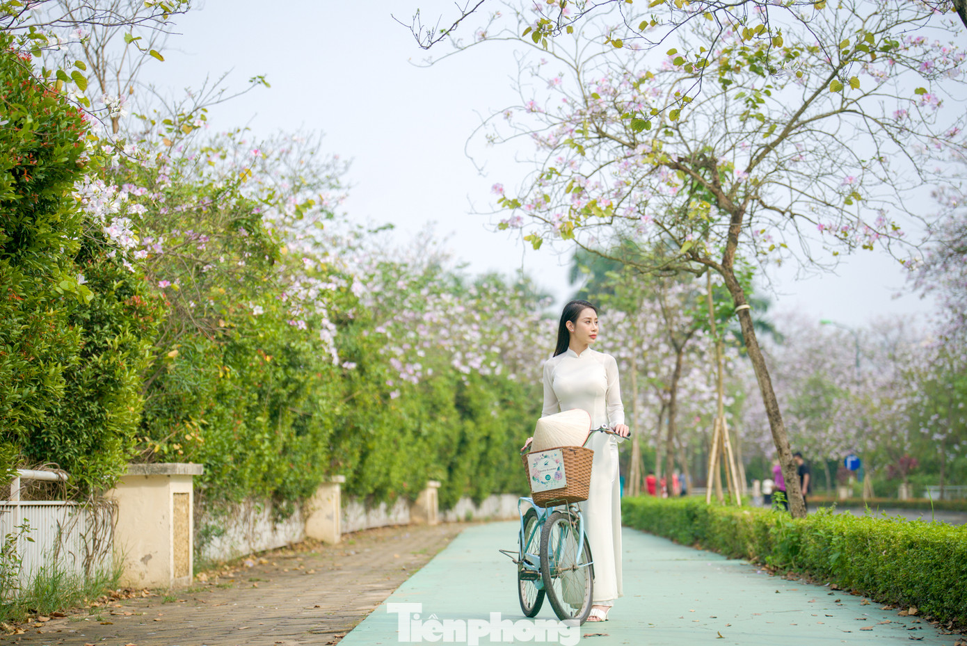 Những thiếu nữ thướt tha bên áo dài tranh thủ chụp hình lưu giữ sắc xuân cùng sự dịu dàng, mỏng manh với loài hoa đặc trưng của Tây Bắc.