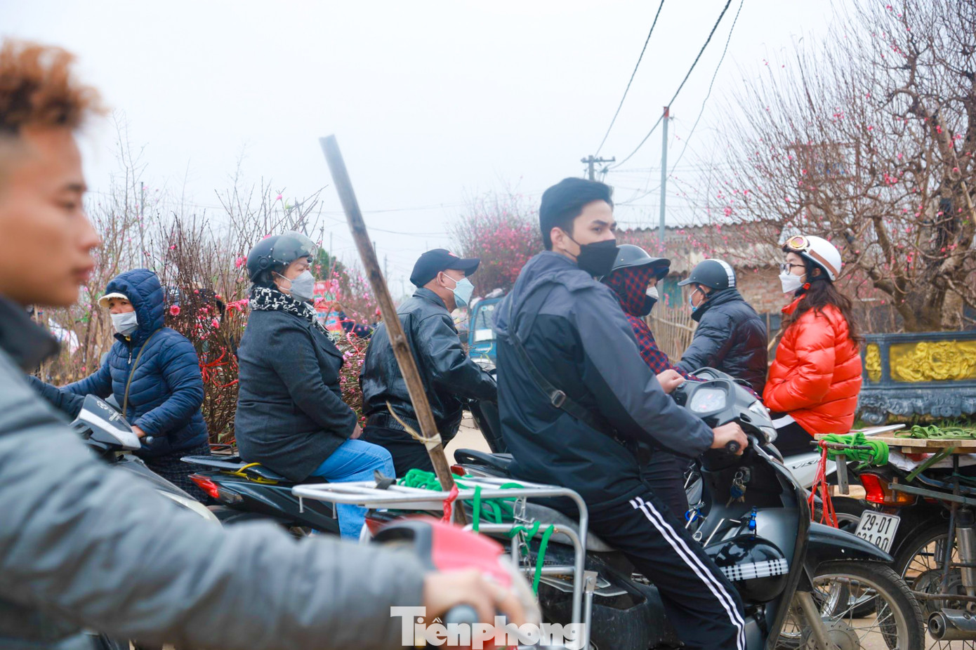 Nhiều thương lái cũng hối hả vận chuyển đào tới các điểm bán trong nội đô.