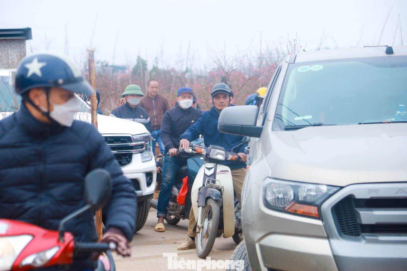 Chỉ còn ít ngày nữa là đến Tết Nguyên đán, người dân nườm nượp kéo về "thủ phủ" đào Nhật Tân để chọn mua đào và cũng để du xuân.