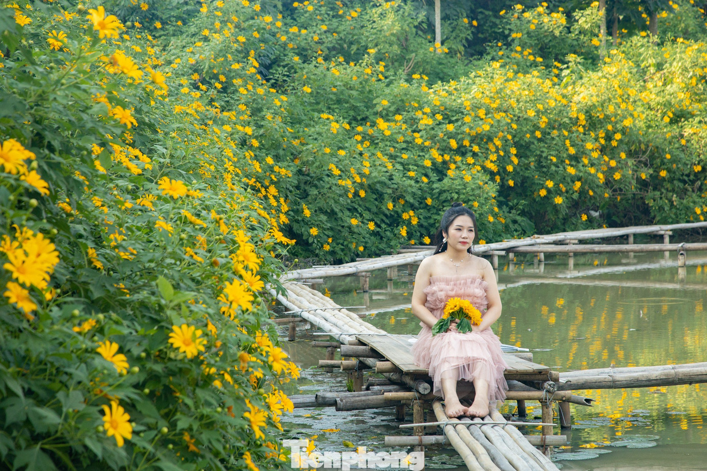 Hoa nở dày đặc bên những cây cầu gỗ chênh vênh tạo nên không gian thơ mộng, "đứng góc nào cũng ra ảnh đẹp", bạn Ái Duyên chia sẻ