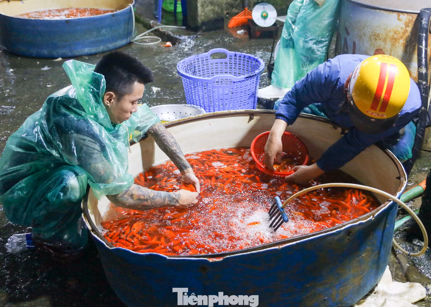 Chợ cá Yên Sở là chợ thủy sản lớn nhất khu vực miền Bắc, chuyên cung cấp các loại cá nước ngọt bán buôn, đóng xe hàng cho cả nước.