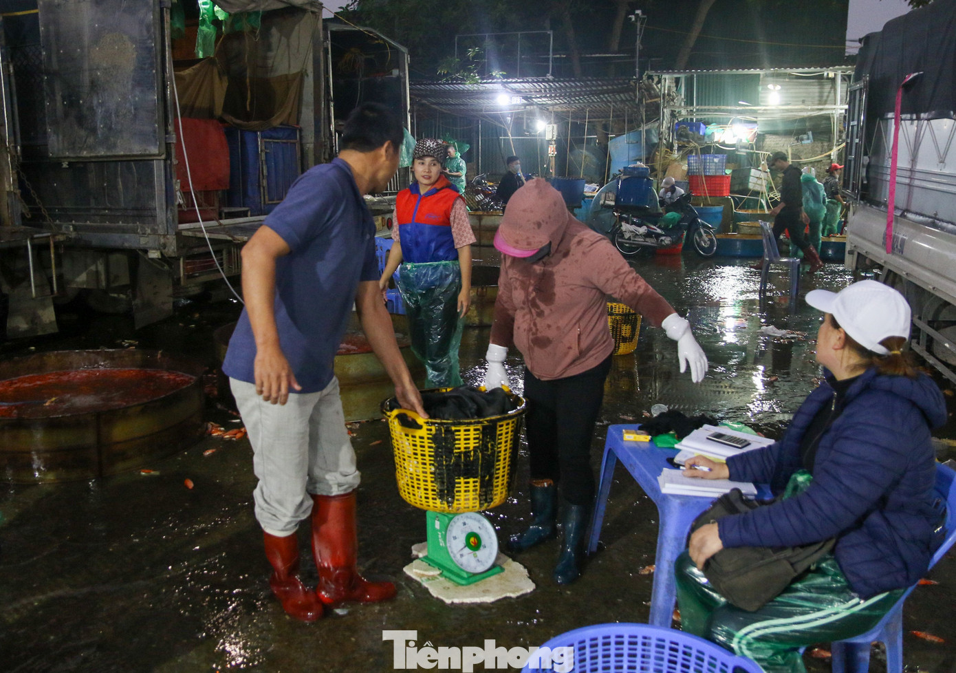 Từ 3h giờ sáng, các tiểu thương các chợ lớn nhỏ trên địa bàn thành phố đã đổ về đây mua cá.