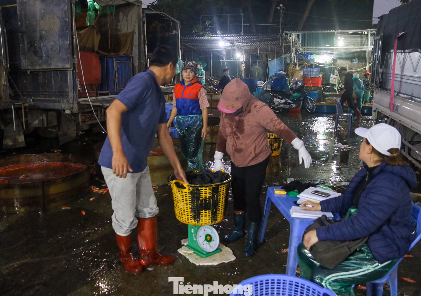 Từ 3h giờ sáng, các tiểu thương các chợ lớn nhỏ trên địa bàn thành phố đã đổ về đây mua cá.