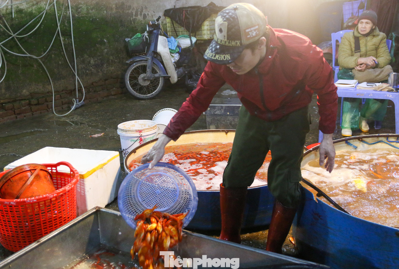 Tại chợ có hai loại cá chép được bán chủ yếu phục vụ cho lễ cúng ông Công - ông Táo là cá chép đỏ và cá chép vàng.