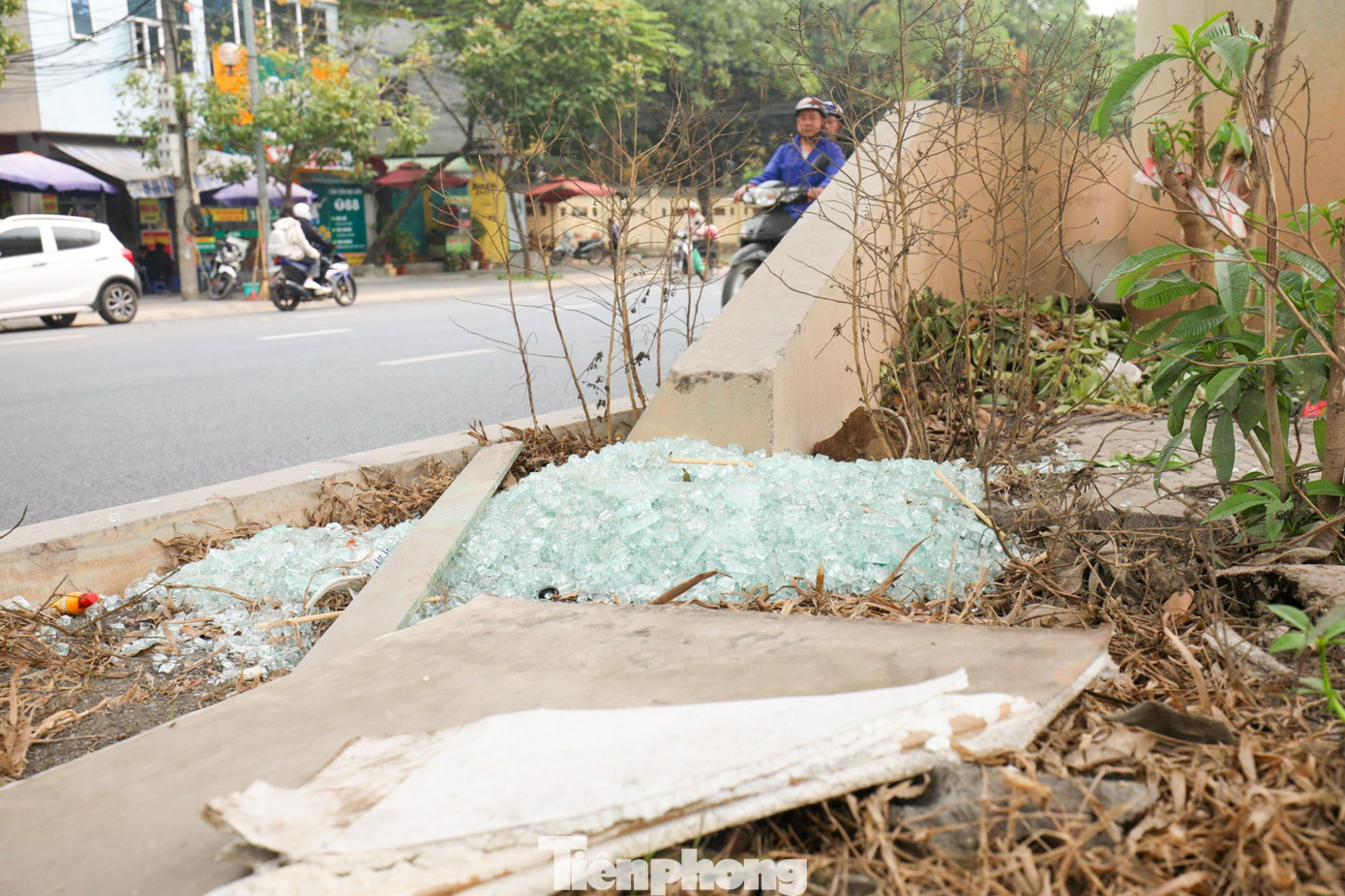 Rác thải ngổn ngang vứt chỏng chơ tại các cột trụ bê tông, không được thu gom khiến cảnh quan trở nên nhem nhuốc.