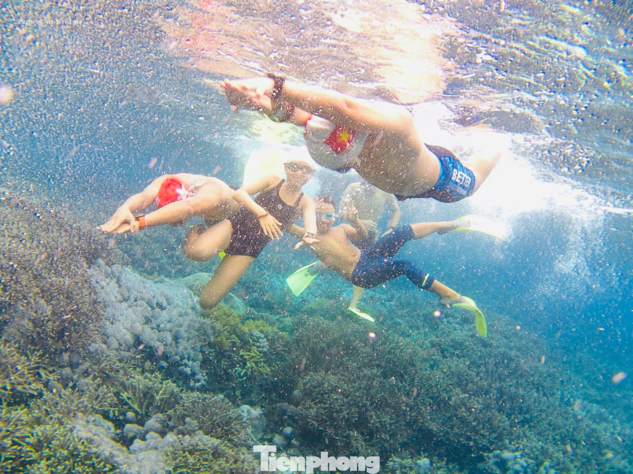 Nước biển Bali xanh trong vắt nhìn thấy cả bạt ngàn san hô với đủ loại màu sắc, hình thể. Lặn biển ngắm san hô là một trải nghiệm ấn tượng với du khách.