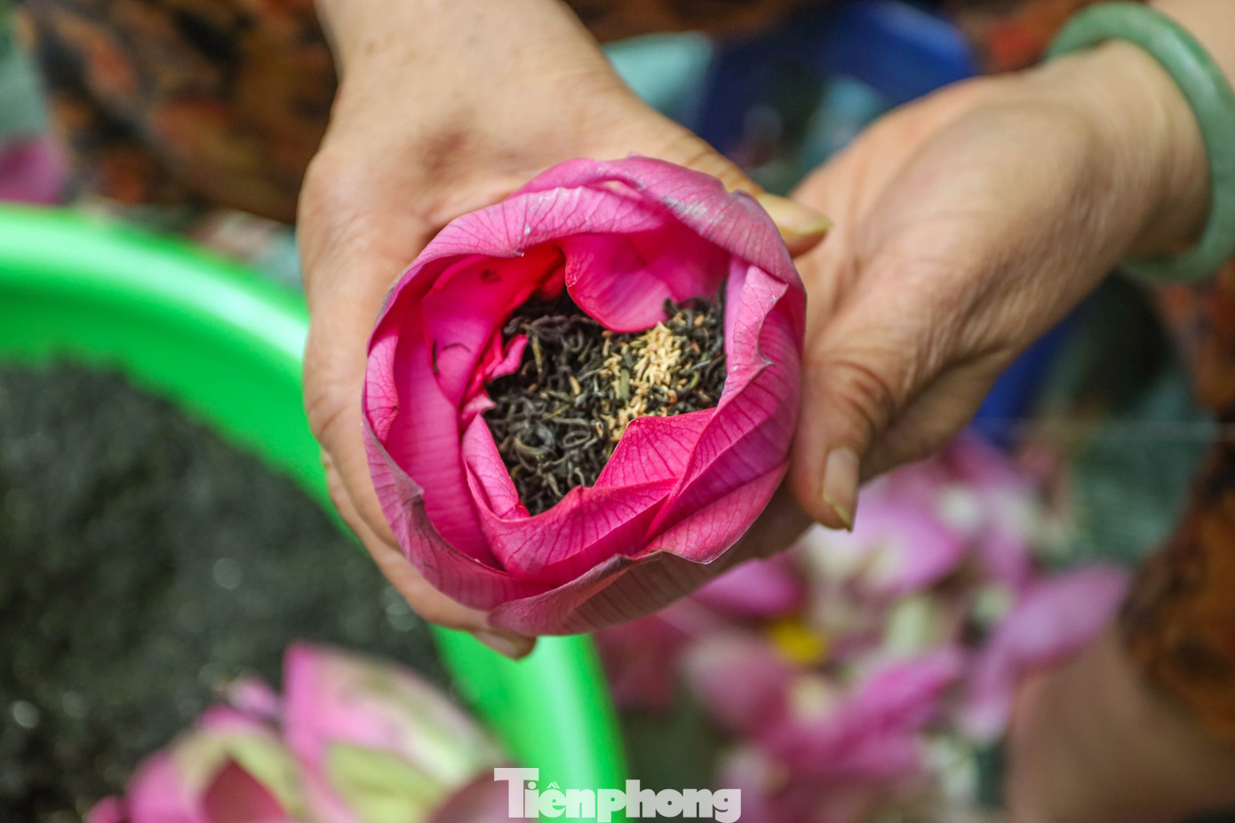 Để làm ra một kg trà sen, người nghệ nhân cần tới 1.000-1.200 bông sen. Mọi công đoạn ướp trà sen đều được làm thủ công hoàn toàn.