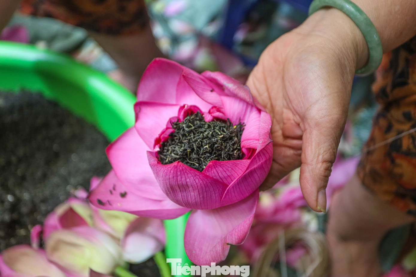 Để làm ra một kg trà sen, người nghệ nhân cần tới 1.000-1.200 bông sen. Mọi công đoạn ướp trà sen đều được làm thủ công hoàn toàn.