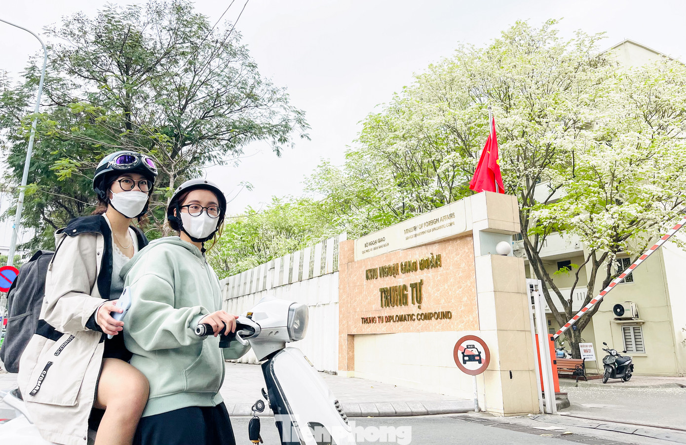 Sắc trắng tinh khiết khó lẫn với bất kỳ loài hoa nào mang lại vẻ đẹp rất riêng cho hoa sưa, làm say đắm lòng người.