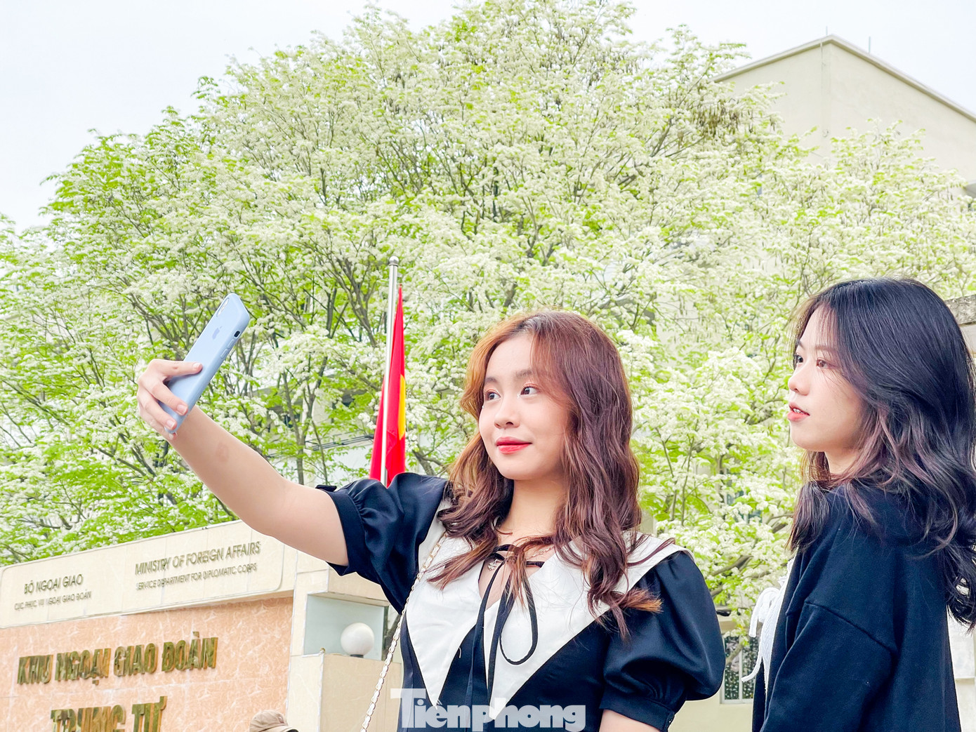 Những ngày này, nhiều người dân, đặc biệt là giới trẻ đã tìm đến với khu ngoại giao đoàn trên phố Hồ Đắc Di để chụp ảnh check-in với sắc trắng tinh khôi của hoa sưa.
