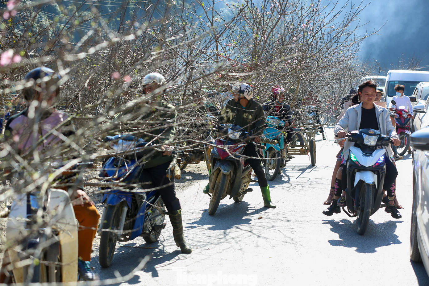 Không khí Tết đã tràn ngập dọc đường quốc lộ.