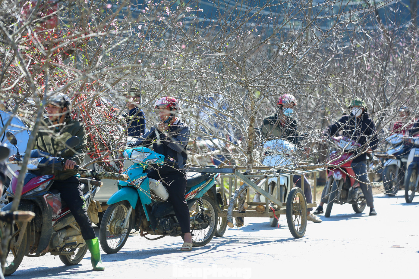 Những ngày giáp Tết Nguyên đán, dọc quốc lộ 6, đoạn qua huyện Vân Hồ, Mai Châu (Sơn La) lại nhộn nhịp cảnh mua người bán cành đào vùng cao.