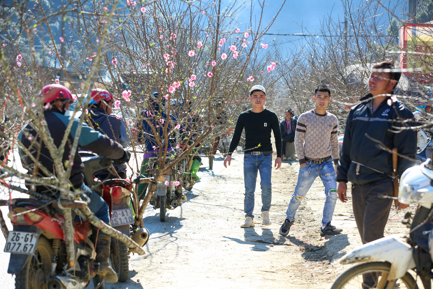 Người dân tha hồ lựa chọn những cành đào, cây đào ưng ý.