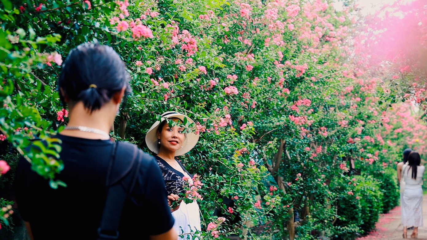 Cuối tuần vào thời điểm từ 7h-9h sáng, tại đây có rất nhiều người đến check-in, lưu giữ những khoảnh khắc tuyệt đẹp của mùa hoa tường vi.