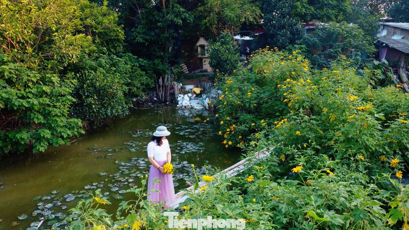 Dù tiết trời se lạnh nhưng có nắng vàng, các bạn trẻ vẫn thỏa sức tạo dáng với dã quỳ.