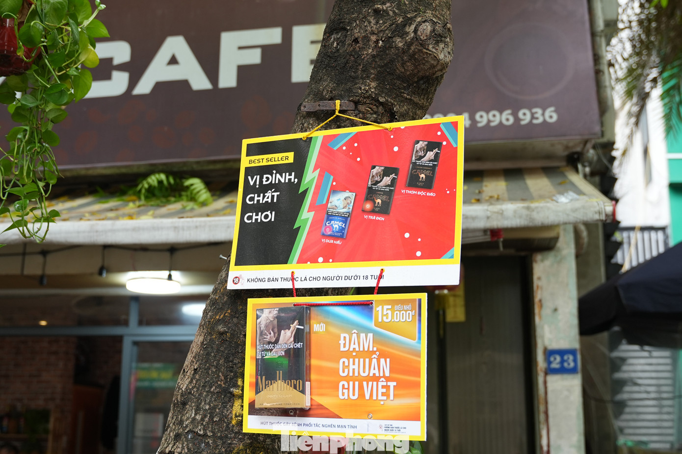 Cây xanh đã trở thành "giá" treo đồ bất đắc dĩ, quảng cáo bán hàng của các hộ kinh doanh.