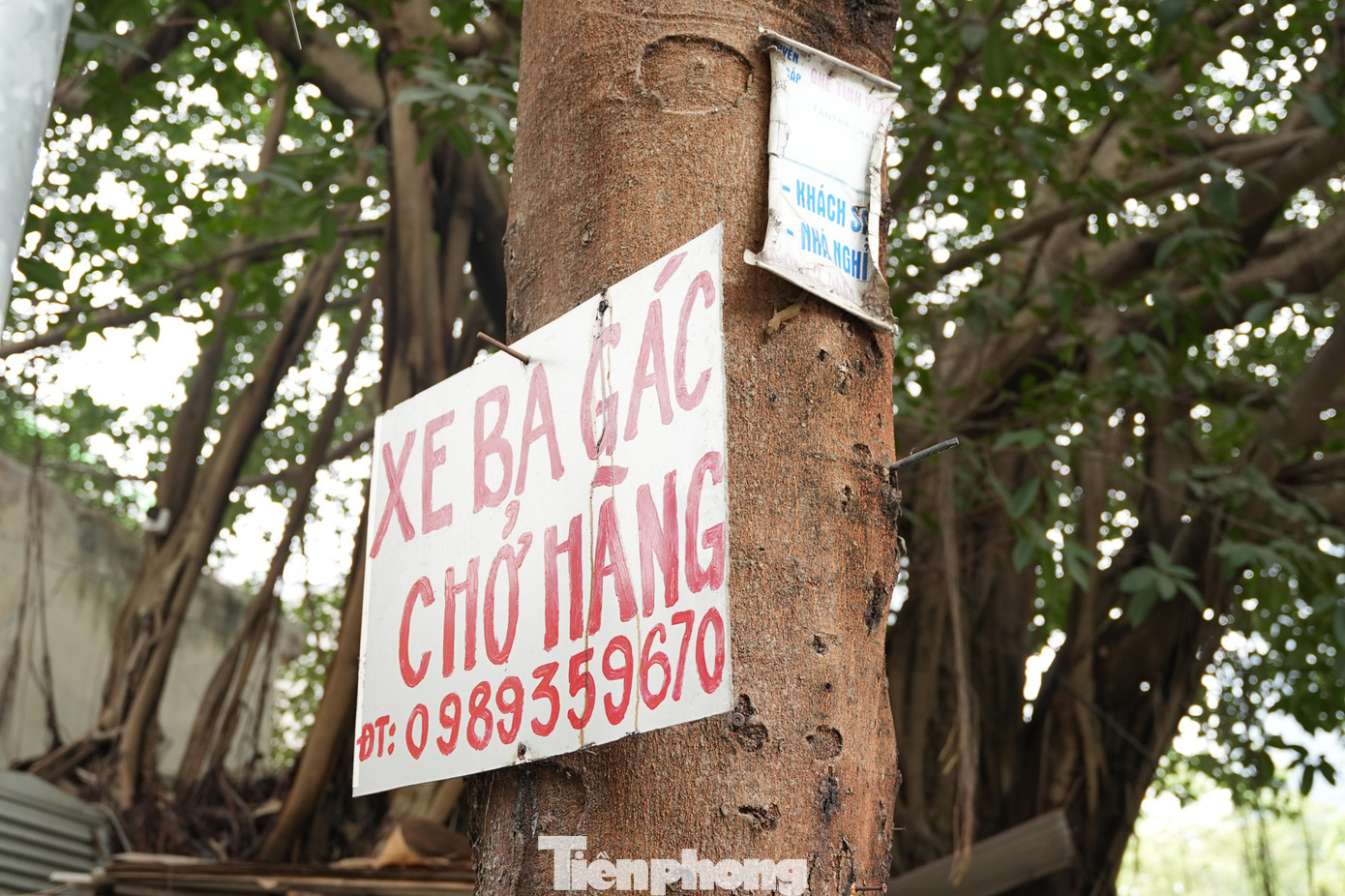 Không chỉ gây mất mỹ quan đô thị, những tấm biển quảng cáo treo như thế này được đóng đinh rất tạm bợ nếu gặp mưa to, gió lớn có thể bung, bay rơi bất cứ lúc nào gây nguy hiểm cho người tham gia giao thông.