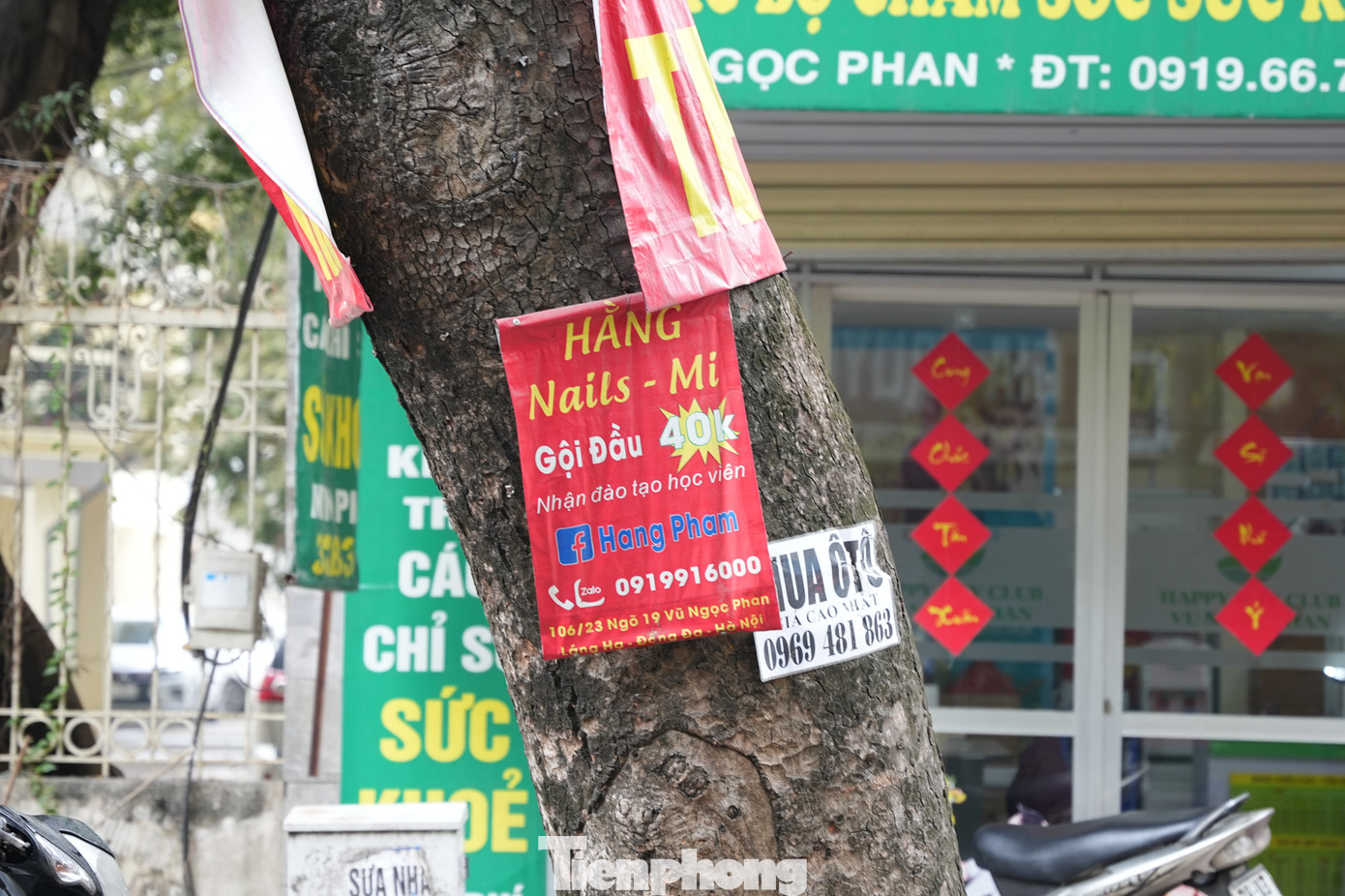 Theo Điều 53 trong Nghị định 139/2017/NĐ-CP của Chính phủ quy định về bảo vệ cây xanh, công viên vườn hoa đối với hành vi đục khoét, đóng đinh vào cây xanh, tự ý ngắt hoa, ngắt cành, lột vỏ thân cây hoặc có hành vi khác làm hư hỏng cây xanh sẽ có mức phạt từ 500 nghìn đồng đến 1 triệu đồng.