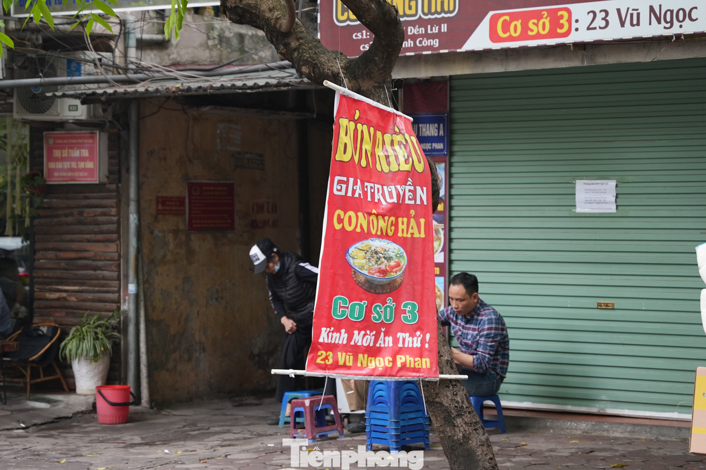 Ngoài ra, những chỗ bị đóng đinh sẽ là nơi sâu bệnh phát triển, phá hủy cây.